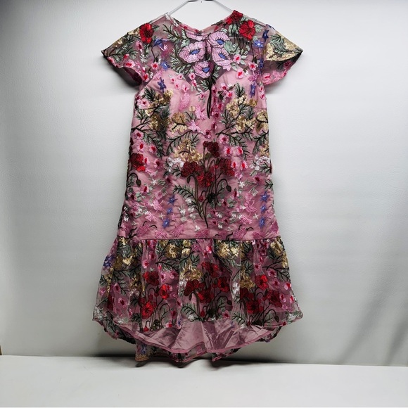 Chi Chi London peplum embroidered lance Floral Pink Dress size US 8 UK 12 - Picture 3 of 15